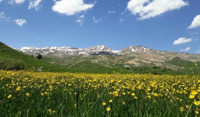 Pülümür’de Planlanan Maden Projesine İlişkin Önerge Verildi