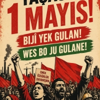 WhatsApp Image 2026-04-27 at 22.06.25