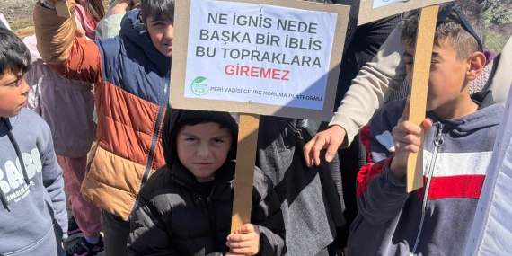 Bingöl Karlıova’da Binlerin Katıldığı Miting: “Direnişle Talanı Durduracağız”