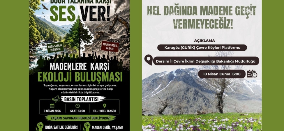 kolaj yeni (3)
