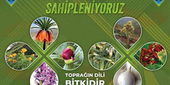 Havaçor Vadisi’nde Doğa ve Yaşam Nöbeti Başlıyor