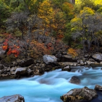 dersim