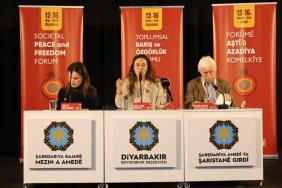 diyarbakir-baris-paneli.jpg