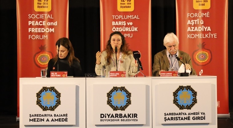 diyarbakir-baris-paneli.jpg