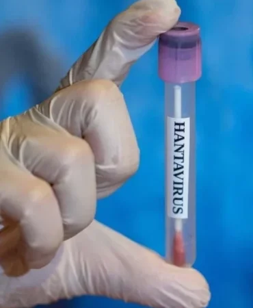htWu-hantavirus-turkiyede-var-mi-yok-mu-hantavirus-hangi-ulkelerde-goruldu.jpg