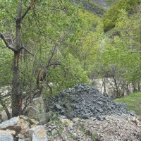 kolaj kopyası