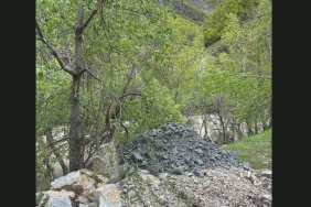 kolaj kopyası