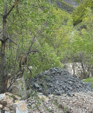 kolaj kopyası