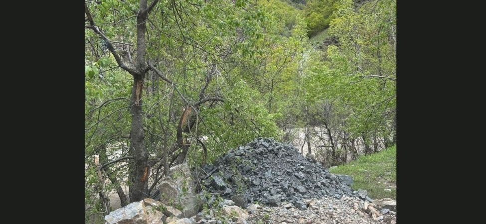 kolaj kopyası