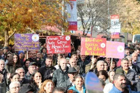 munzur-ozgurce-akacak.webp.webp