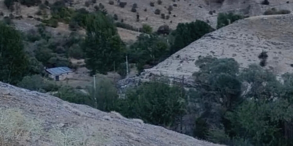 Doğum Kapısı