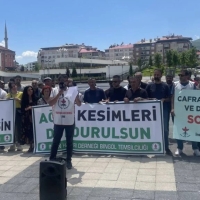 bngl-08-06-2026-cafrandaki-agac-kesimine-tepki-1024x576.jpeg