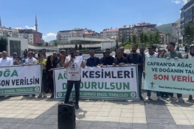 bngl-08-06-2026-cafrandaki-agac-kesimine-tepki-1024x576.jpeg