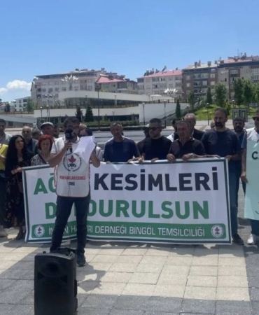 bngl-08-06-2026-cafrandaki-agac-kesimine-tepki-1024x576.jpeg
