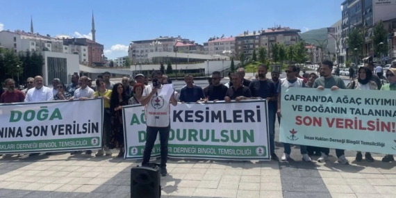 İHD Bingöl: Ağaç kesimi sürerse doğa nöbeti başlatacağız