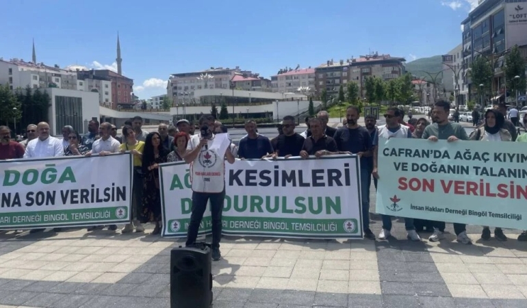 İHD Bingöl: Ağaç kesimi sürerse doğa nöbeti başlatacağız