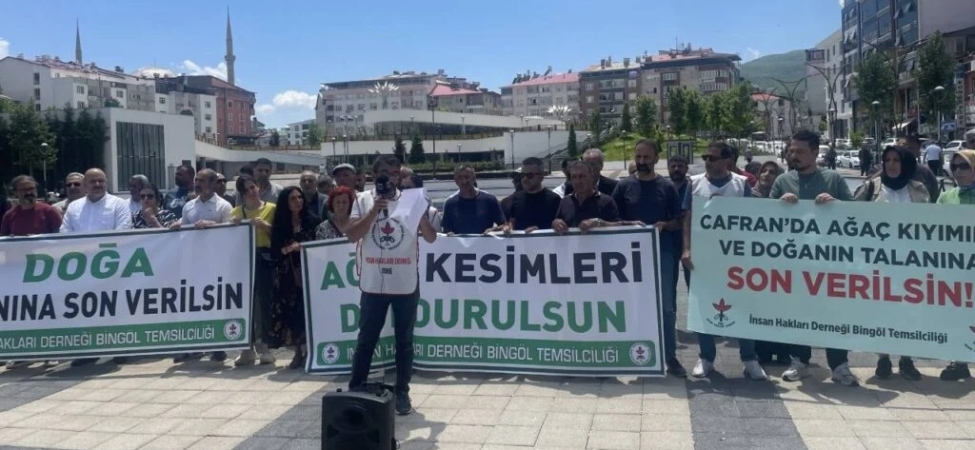 bngl-08-06-2026-cafrandaki-agac-kesimine-tepki-1024x576.jpeg