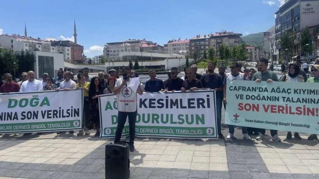 İHD Bingöl: Ağaç kesimi sürerse doğa nöbeti başlat