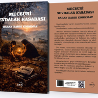 Ekran görüntüsü 2026-07-09 194646