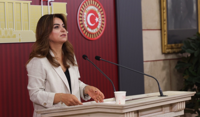Gülistan Kılıç Koçyiğit: Meclis’te barış izleme ve takip kurulu oluşturulmalı