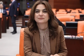 dem-parti-gulistan.webp.webp