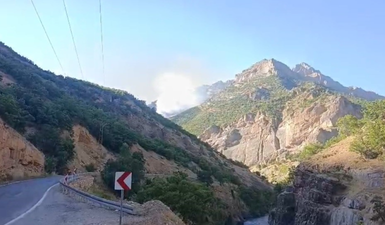 Munzur Vadisi Milli Parkı’nda orman yangını