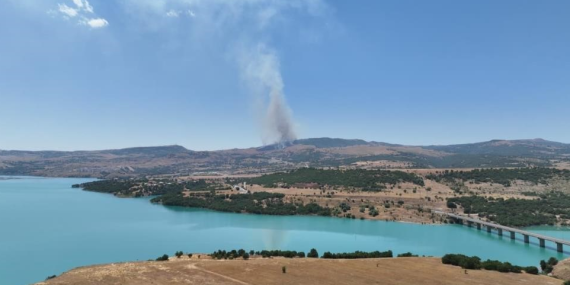 Dersim’deki orman yangını söndürüldü