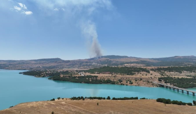 Dersim’deki orman yangını söndürüldü