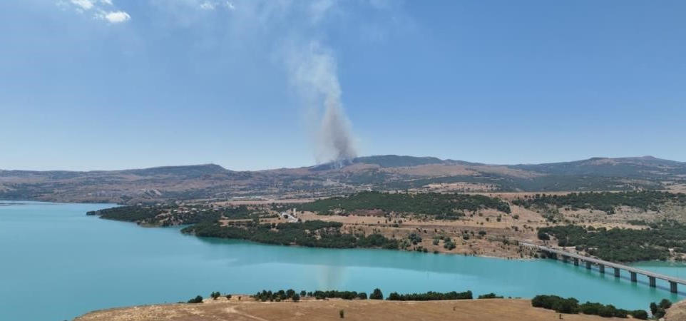 Ekran görüntüsü 2026-08-05 192609