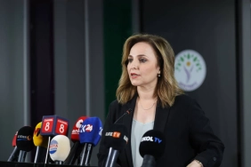 aysegul-dogan-sorumluluk-sadece-dem-partiye-birakilamaz-1.webp.webp