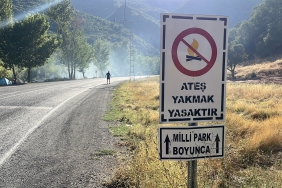 munzurvadisi